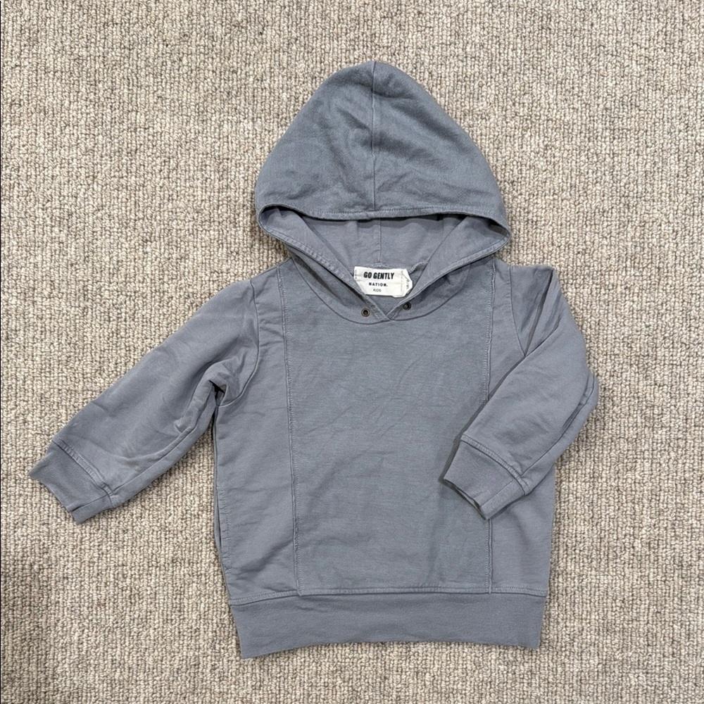 Gray Hoodie by Go Gently Nation 18-24mos
